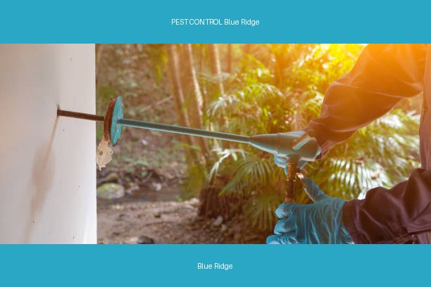 PEST CONTROL Blue Ridge